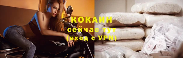 прущие грибы Абдулино